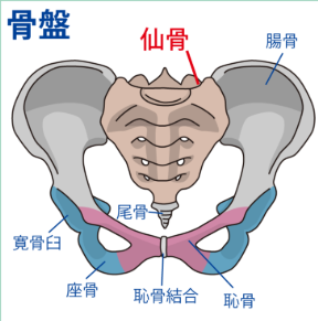 臀部に左足が抜けるような痛みが！？
